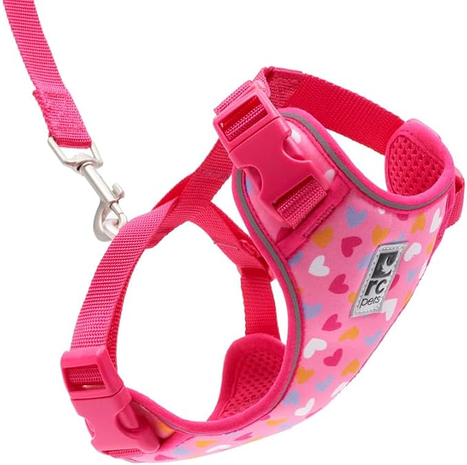 RC Pets Adventure Kitty Cat Harness | Adjustable Airmesh Vest with D-Ring and 6ft Leash for Walking and Travel | Lil Heart, Medium