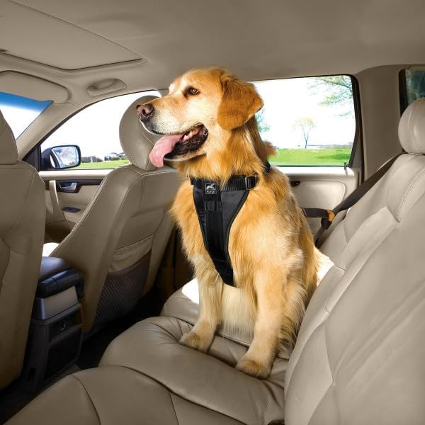 Kurgo Enhanced Strength Tru-Fit Smart Harness, Black, Large | Crash Tested Car Harness for Dogs up to 75Lbs, Seatbelt Tether & Steel Carabiner, All-Steel Buckles, Padded Chest for Comfort