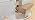 Exqutoo 1/2-Inch Shank 2 Set Bevel Shaker Rail and Stile Router Bits