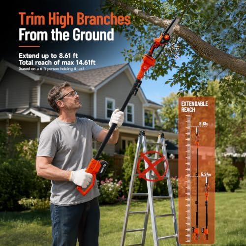Electric Pole Saw for Tree Trimming, 6 Inch Cordless 2-in-1 Mini Chainsaw
