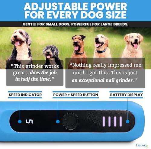 Diamondg Micro Dog Nail Grinder - Quiet Sound with LED Light, Light Blue