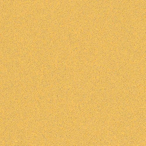 Bosch Professional 10x Expert C470 Sandpaper (for Hardwood, Paint on Wood, 93x230 mm, Grit 80, Accessories Orbital Sander)