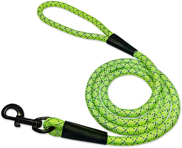 noxgear LightHound Light Up Reflective Dog Harness and Leash, X-Large | 360° Light Up Reflective Dog Harness, 8 Colors & 6 Modes, USB Rechargeable, Adjustable, Rainproof, LED Fiber Optic