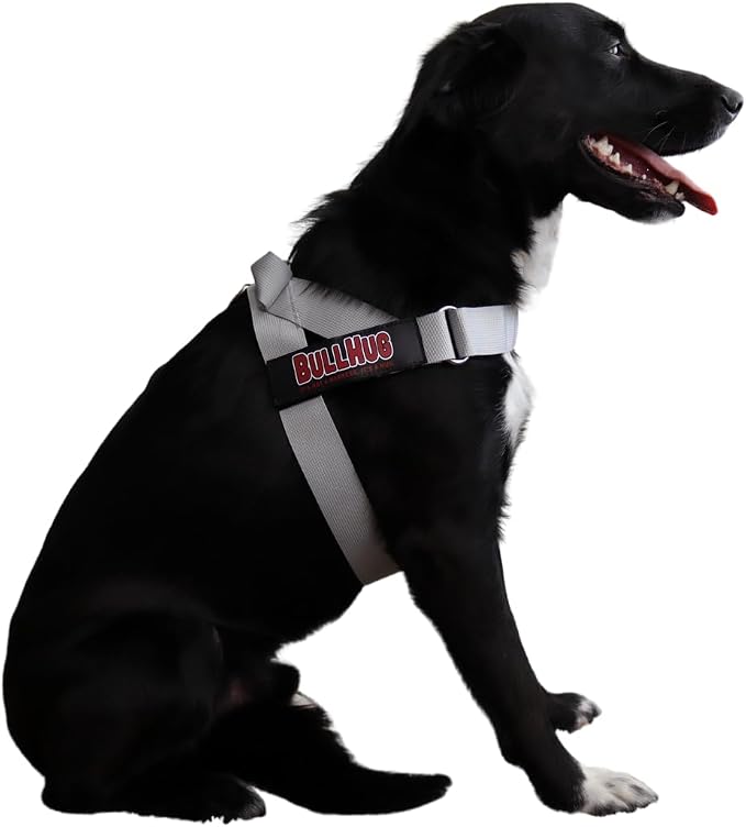 Adjustable Dog Harness– No Pull, No Choke – for English Bulldogs, French Bulldogs, Pugs & Broad-Chested Breeds – Easy, Safe Walks (Silver, Large)