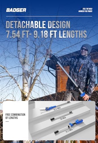 WILD BADGER POWER Pole Saw Cordless 40V 8'' Electric 2.0Ah with Detachable Pole, 2Ah Battery and Charger included