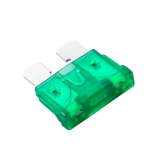 100Pcs 30 Amp Fuses Stanbdard Fuse, 30A Car Fuse Blade for Automotive, Truck, Boat, Motorcycle