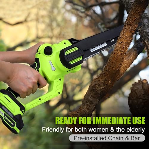 FASTPRO 10-Inch Cordless Chainsaw