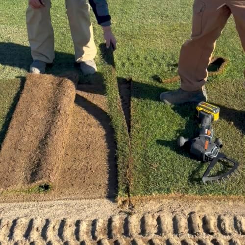 ARBORTECH ALLSAW BA200X Cordless Tool 60V powered by DeWalt® Landscaping Kit - Turf and Wood Blades | ALL.FG.200KITWT.20