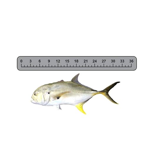 SeaDek Foam Fishing Ruler | Fish Ruler Perfect Boats, Coolers & Kayaks | 36" Fishing Measurement Tool | Fishing Accessories | 3M Adhesive Backing | Mica/Terra