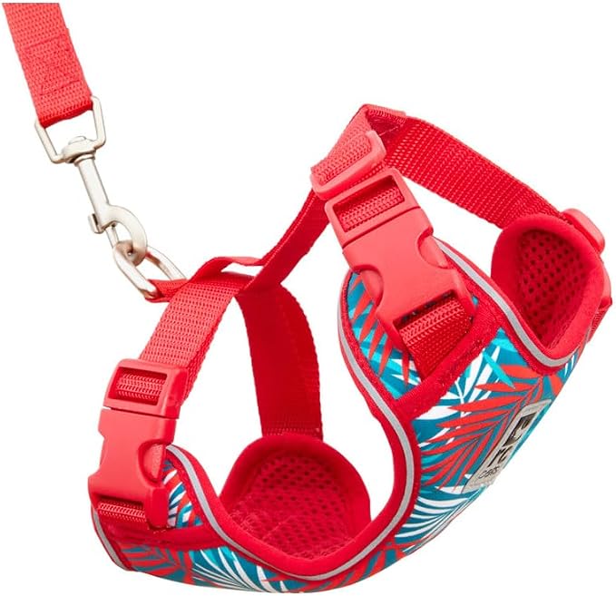 RC Pets Adventure Kitty Harness Includes Adjustable, Airmesh Fabric, 6' Leash and D-Ring Cat Walking Harness | Maldives, Medium