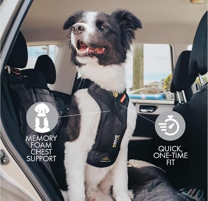 EzyDog Drive Dog Car Harness, Crash Tested and Certified - Small | US-FMVSS 213 Certified Dog Seat Belt Harness, Adjustable, Padded Comfort Chest Plate, Dual Metal SR Buckles