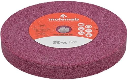 Stens Grinding Wheel 750-045 8' x 1' x 5/8' 46 grit Ruby