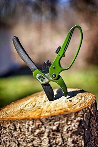 EZ Kut Heavy Duty Ratcheting Pruning Shears Green with Holster and Sharpener, Garden Hand Pruner with Ballistic Nylon Sheath, Arthritis Friendly Anvil Clippers for Thick Branches Cuts Up to 1.5 Inches
