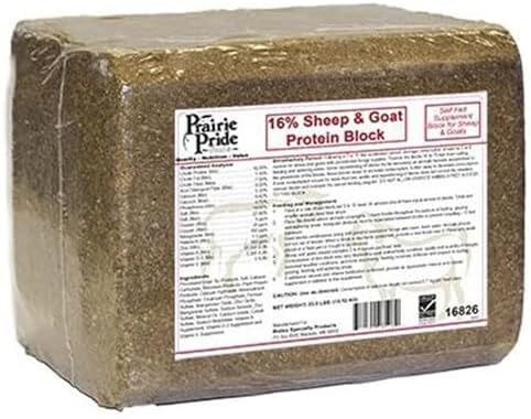 RIDLEY 16826 33LB Sheep/Goat Block