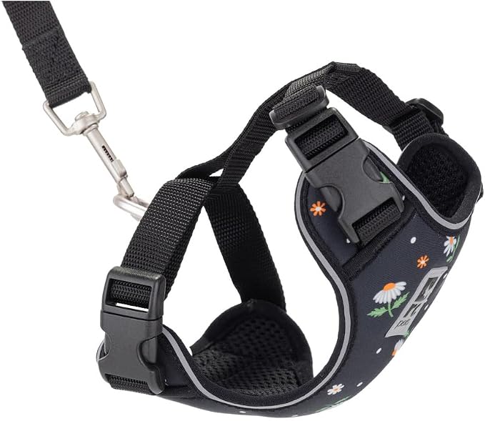 RC Pets Adventure Kitty Cat Harness | Adjustable Airmesh Vest with D-Ring and 6ft Leash for Walking and Travel | Daisies, Medium
