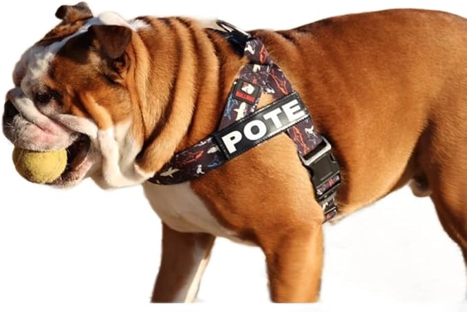 Adjustable Dog Harness– No Pull, No Choke – for English Bulldogs, French Bulldogs, Pugs & Broad-Chested Breeds – Easy, Safe Walks (Shark, Small)