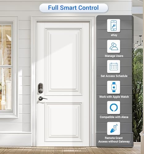 Veise RZ07B Fingerprint Smart Lock with 2 Lever Handle Set, Matte Black