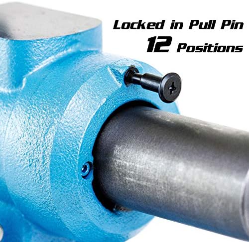 Capri Tools 10519 Rotating Base and Head Bench Vise, 6"