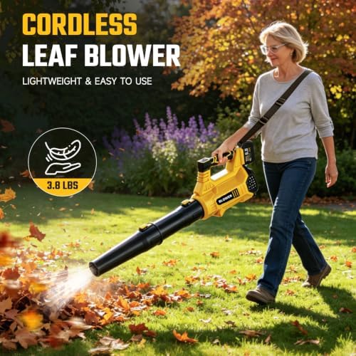 Leaf Blower Cordless - 800CFM Electric Leaf Blower with 2 * 6.0Ah Batteries and Charger, 6 Speed 21V Powerful Blowers for Garden Lawn Care Patio Blowing Leaves Dust Snow Gift for Men