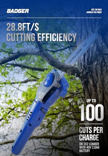WILD BADGER POWER Pole Saw Cordless 40V 8'' Electric 2.0Ah with Detachable Pole, 2Ah Battery and Charger included