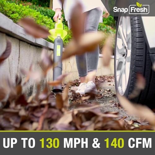 SnapFresh Leaf Blower Cordless with 4.0Ah Battery, 2-Speed Control & 2.7LBS