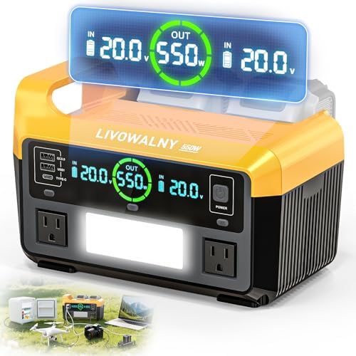 LIVOWALNY 550W Power Inverter Compatible with DeWALT 20V Battery, DC 20V to AC 110-120V Pure Sine Wave Power Station with 2 AC Outlets, 2 USB-A & 1 Type-C, for Camping Power Outage (Tool Only)
