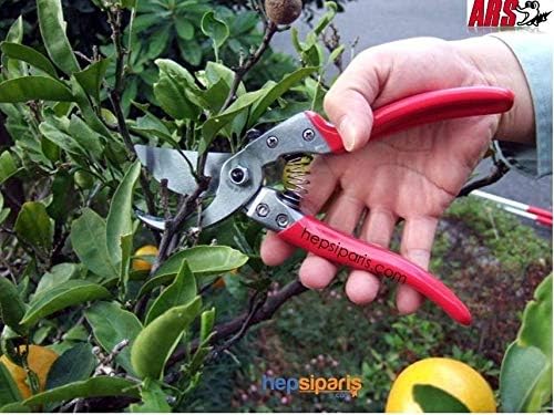 ARS HP-VS7XZ Heavy Duty Hand Pruner, 7", Red Handles