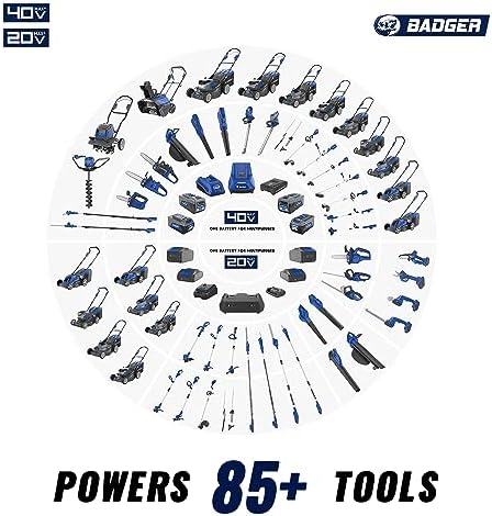 WILD BADGER POWER Cordless Pole Saw 20V 8'' Electric 2.0Ah with Telescoping Pole, 0° to 30° Adjustable Head, Battery and Charger included