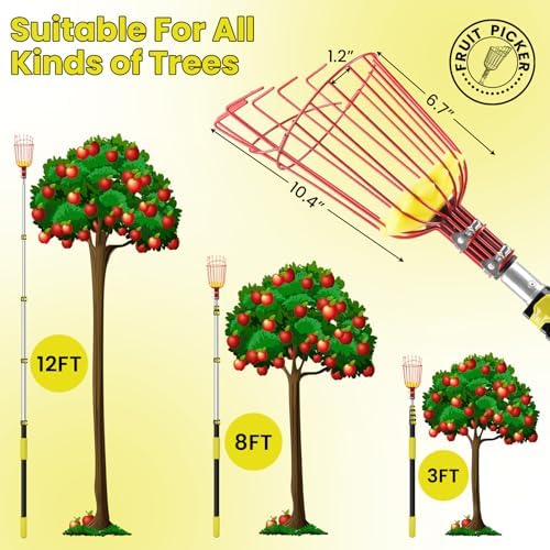 20FT Reach Fruit Picker with Basket, Apple Picking Tool Telescoping Pole, Long-Handle Mango Grabber, Tree Fruit Catcher for Harvesting Lemon Pear Orange Avocado Peach Citrus Grapefruit