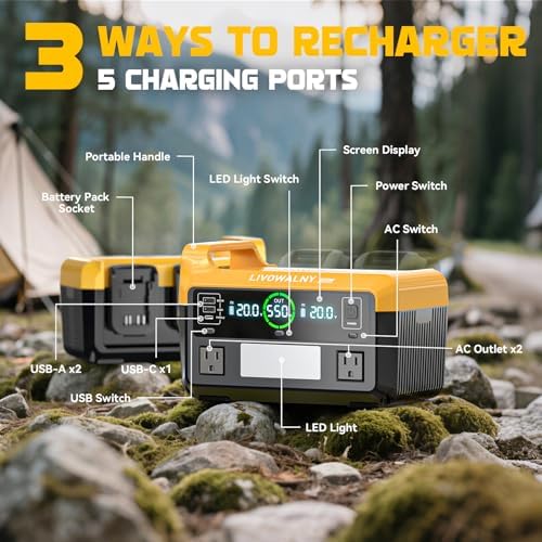 LIVOWALNY 550W Power Inverter Compatible with DeWALT 20V Battery, DC 20V to AC 110-120V Pure Sine Wave Power Station with 2 AC Outlets, 2 USB-A & 1 Type-C, for Camping Power Outage (Tool Only)