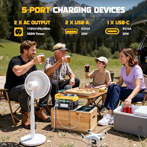 LIVOWALNY 550W Power Inverter Compatible with DeWALT 20V Battery, DC 20V to AC 110-120V Pure Sine Wave Power Station with 2 AC Outlets, 2 USB-A & 1 Type-C, for Camping Power Outage (Tool Only)