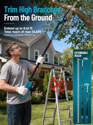2-in-1 10 Inch Electric Pole Saw & Mini Chainsaw for Tree Trimming