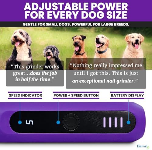 Diamondg Micro Dog Nail Grinder - Quiet Sound with LED Light, Purple