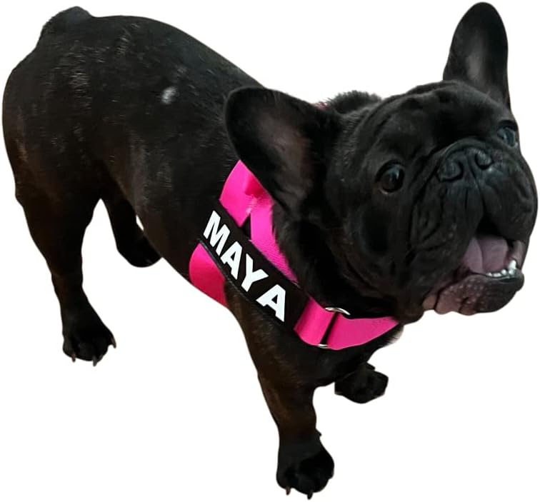 Adjustable Dog Harness– No Pull, No Choke – for English Bulldogs, French Bulldogs, Pugs & Broad-Chested Breeds – Easy, Safe Walks (NEON Pink, XL)