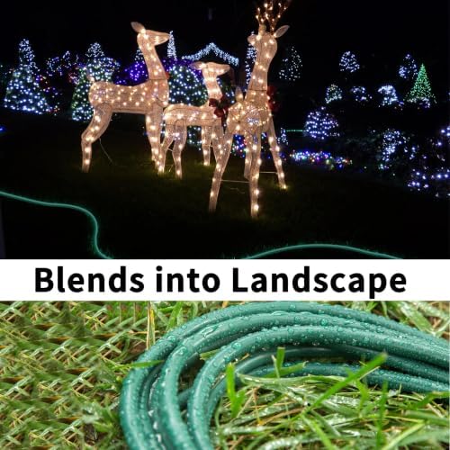 HUANCHAIN Indoor Outdoor Green Extension Cord 100 ft 2pcs Waterproof