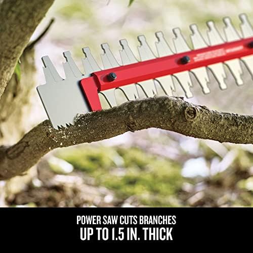CRAFTSMAN V20 Cordless Hedge Trimmer, 22 inch, Bare Tool Only (CMCHTS820B)