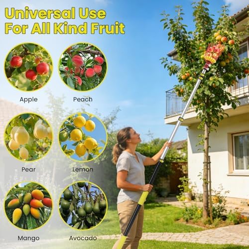 26FT Reach Fruit Picker with Basket, Apple Picking Tool Telescoping Pole, Long-Handle Mango Grabber, Tree Fruit Catcher for Harvesting Lemon Pear Orange Avocado Peach Citrus Grapefruit