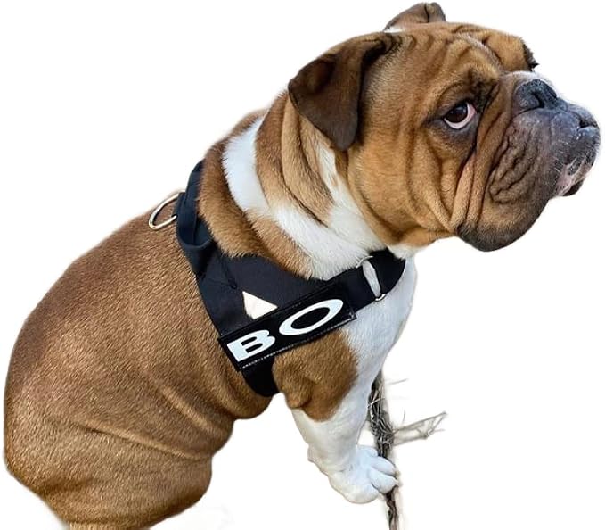 Adjustable Dog Harness– No Pull, No Choke – for English Bulldogs, French Bulldogs, Pugs & Broad-Chested Breeds – Easy, Safe Walks (Black, Medium)