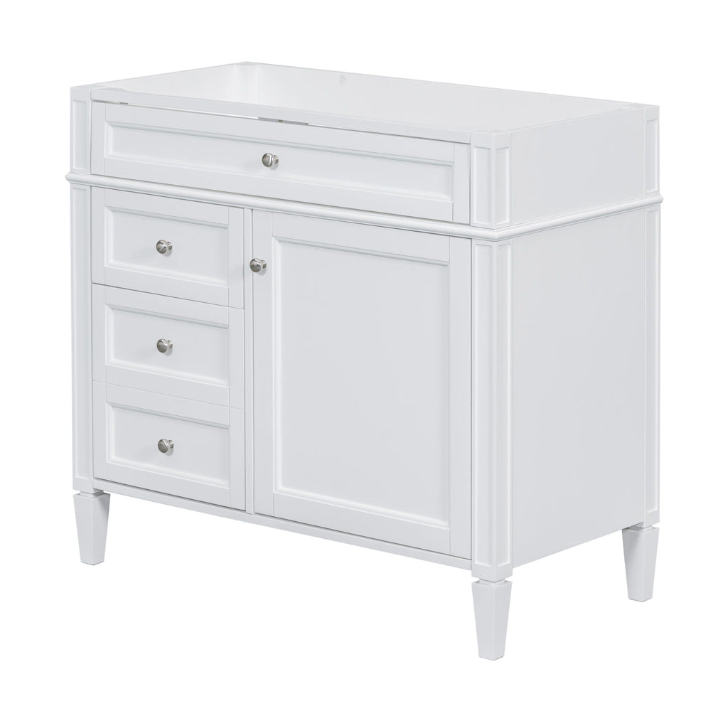 Bathroom Vanity With 2 Drawers and Tip-Out Drawer Storage Cabinet