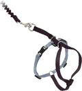PetSafe Come With Me Kitty Harness and Bungee Leash, Harness for Cats, Large, Black/Silver, CWMK-L-BLK | Adjustable 2-Point Fit Applies Gentle Pressure to Shoulders, Not Neck, for Average and Large Cats with 13 in - 18 in Girth
