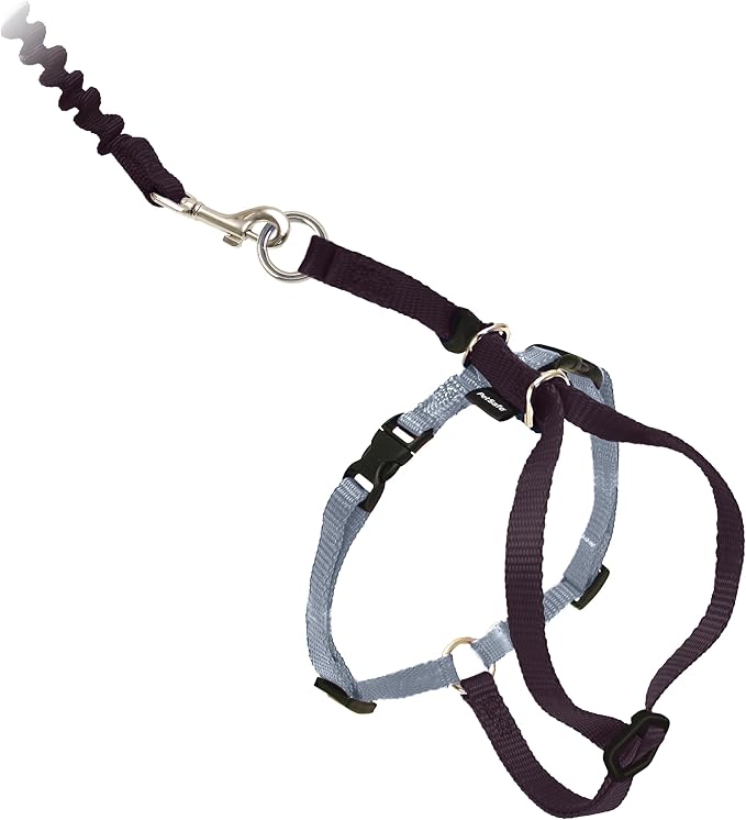 PetSafe Come With Me Kitty Harness and Bungee Leash, Harness for Cats, Large, Black/Silver, CWMK-L-BLK | Adjustable 2-Point Fit Applies Gentle Pressure to Shoulders, Not Neck, for Average and Large Cats with 13 in - 18 in Girth