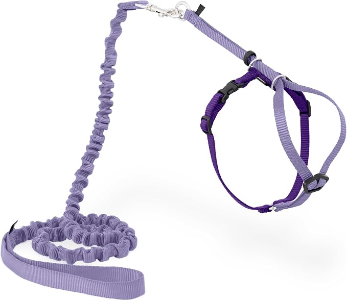 PetSafe Come With Me Kitty Harness and Bungee Cat Leash, Medium, LILAC/BRIGHT PURPLE, Model:CWMK-M-LLC | Adjustable 2-Point Fit Applies Gentle Pressure to Shoulders, Not Neck, for Small & Average Cats with 10.5 in - 14 in Girth