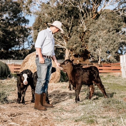 HISEA NINGO Steel Toe Work Boots for Men, Waterproof Wellington Boots