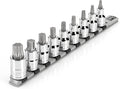 TEKTON Torx Bit Socket Set with Rail, 9-Piece | SHB92107 | 1/2 Inch Drive, (T30 - T80), Socket Rail