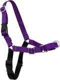 PetSafe Easy Walk Harness, No Pull Dog Harness, Deep Purple, Large | Patented Martingale Loop Gives Gradual Shoulder Pressure to Stop Pulling, Front-Chest Leash Clip Prevents Gagging