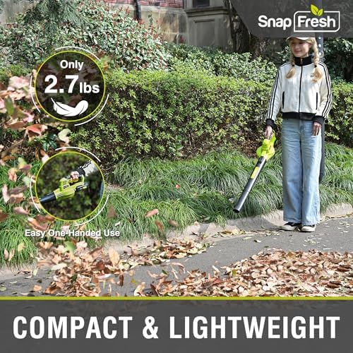 SnapFresh Leaf Blower Cordless with 4.0Ah Battery, 2-Speed Control & 2.7LBS