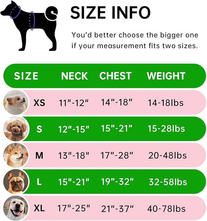 IVY&LANE No Pull Dog Harness for Medium Dogs, Dog Vest Harness with Leash, Safety Belt and Storage Strap, Fully Adjustable Harness, 360° Reflective Strip, Soft Handle (Green,M)
