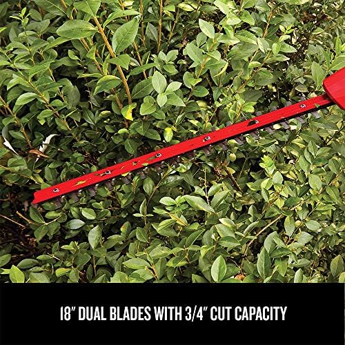 CRAFTSMAN V20 Pole Hedge Trimmer Cordless, 18-Inch, Battery and Charger Included Hedge Trimmer with Extension Pole, Up to 11 Ft Extended Reach (CMCPHT818D1)