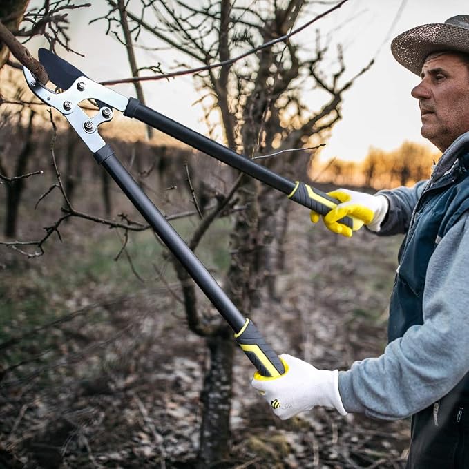 JARDINEER Loppers for Tree Trimming Heavy Duty, 30" Anvil Branch Cutter for Gardening, Manual Tree Trimmer with 2 Inch Cutting Capacity