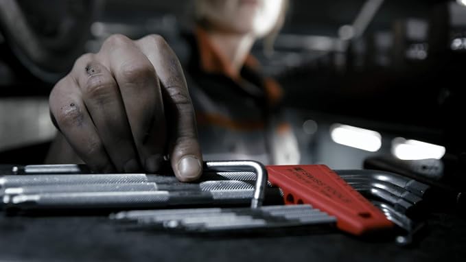 PB Swiss Tools Hex Key L-Wrenches with Ball End PB 212Z.H-12 CN | 100% Swiss Made | 12-Piece Allen Key Set (Inch) Size 1/20" to 5/16" in Practical Holder